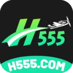 H555 Game