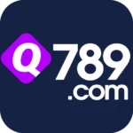 Q789 Game