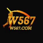W567 Game