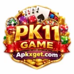 PK11 Game