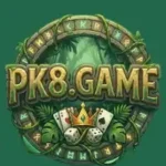 PK8 Game